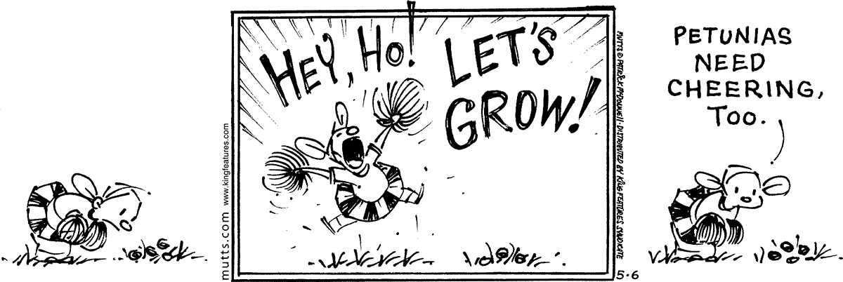 May 6 2025, Daily Comic Strip