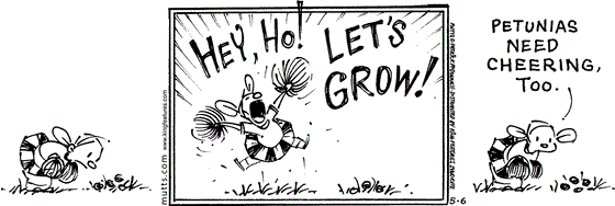 May 6 2025, Daily Comic Strip: In this MUTTS comic, Doozy examines some flowers then cheers, "Hey, ho! Let's grow!" She explains, "Petunias need cheering, too."