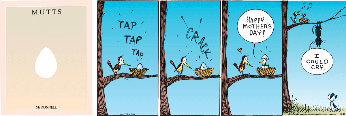 May 11 2025, Sunday Comic Strip