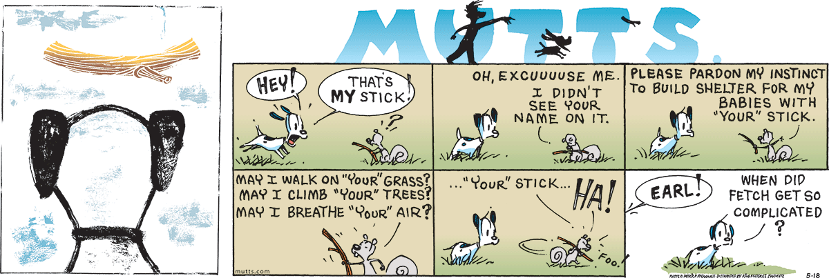 May 18 2025, Sunday Comic Strip