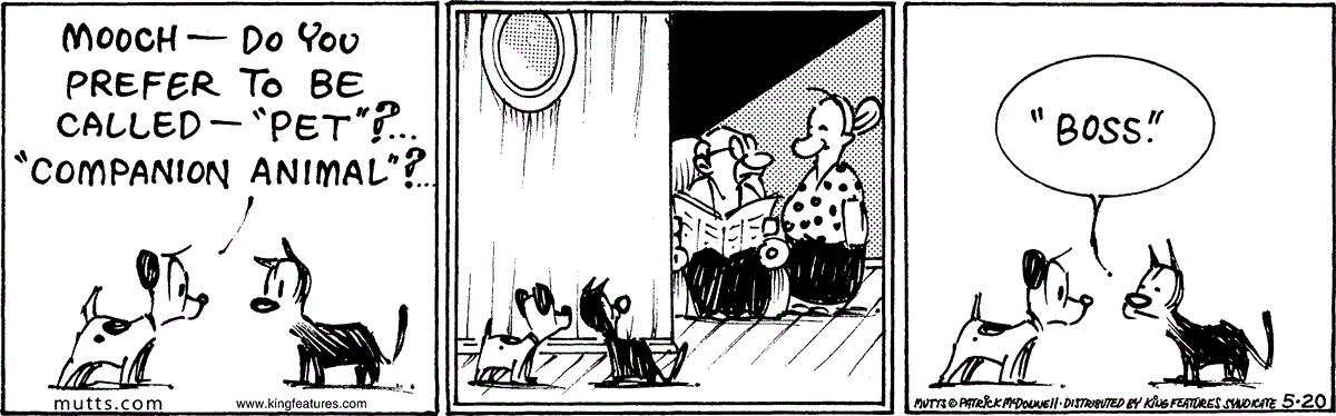 May 20 2024, Daily Comic Strip – MUTTS