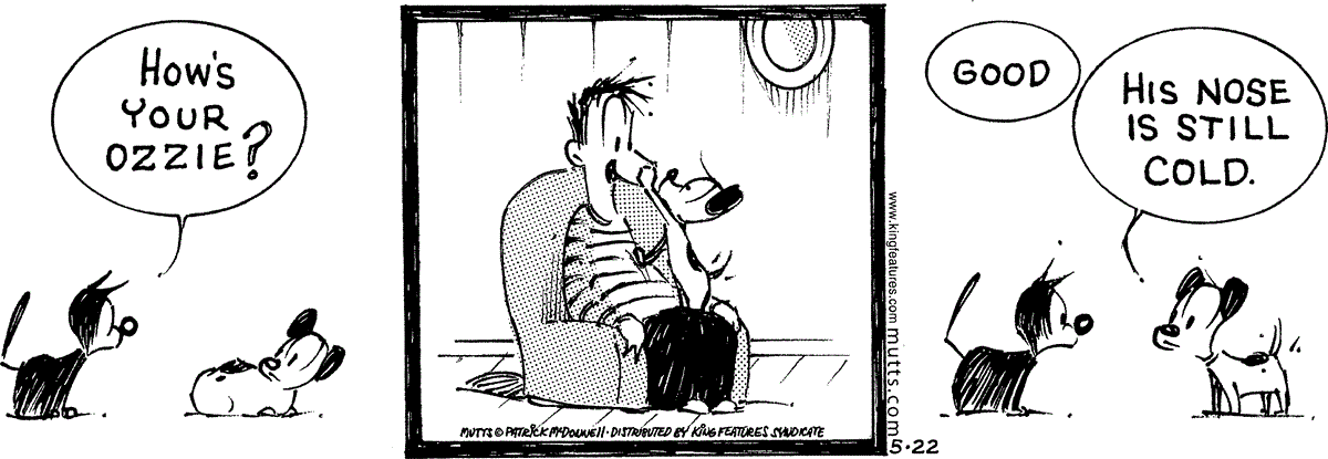 May 22 2026, Daily Comic Strip