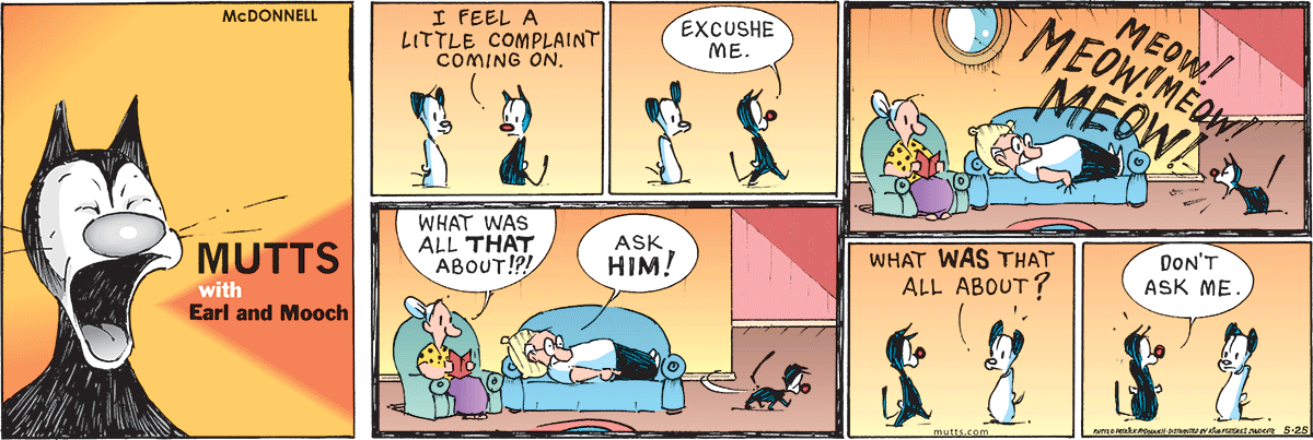 May 25 2025, Sunday Comic Strip