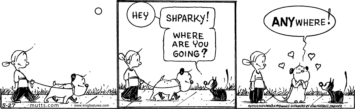 May 27 2024, Daily Comic Strip