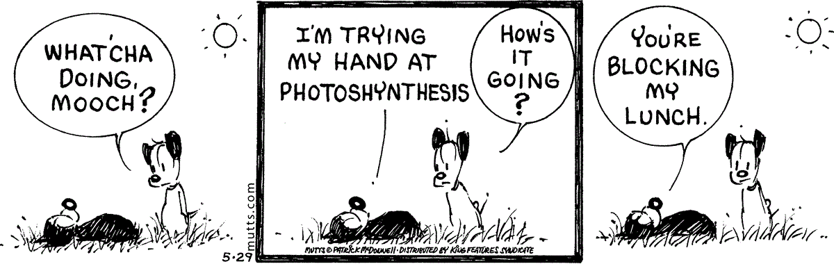 May 29 2026, Daily Comic Strip