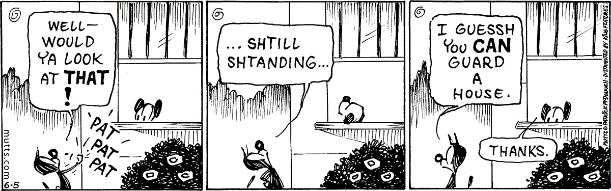 June 5 2025, Daily Comic Strip