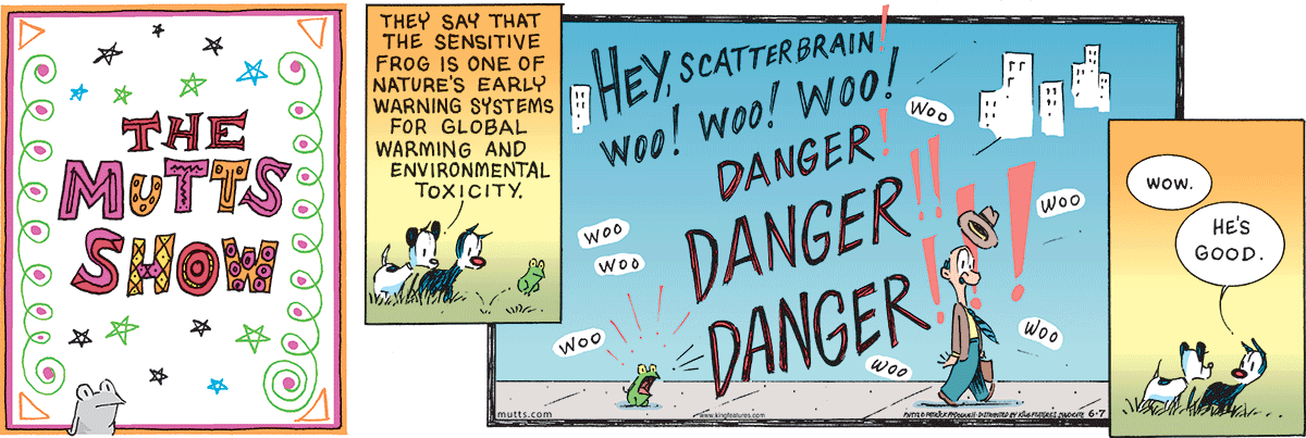 June 7 2026, Sunday Comic Strip