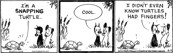 June 9 2025, Daily Comic Strip: In this MUTTS strip, a turtle tells Mooch and Earl, "I'm a snapping turtle." Mooch replies, "Cool. I didn't even know turtles had fingers!"
