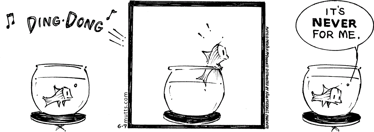 June 9 2026, Daily Comic Strip