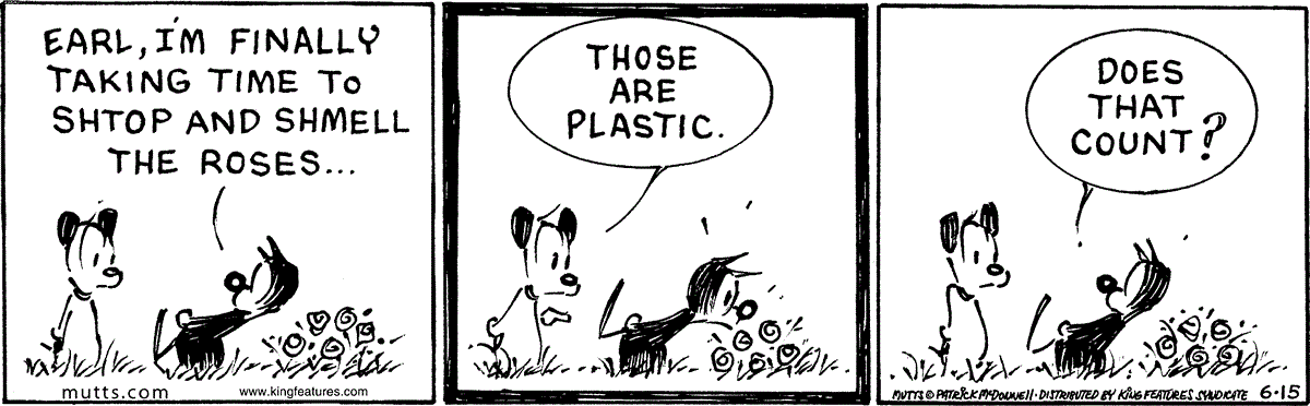 June 15 2026, Daily Comic Strip