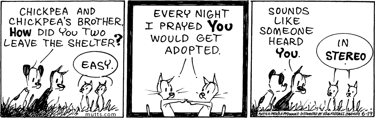 June 19 2024, Daily Comic Strip – MUTTS