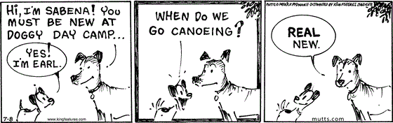 July 8 2025, Daily Comic Strip: In this MUTTS comic, a dog introduces herself to Earl, "Hi, I'm Sabena! You must be new at doggy day camp..." Earl replies, "Yes! I'm Earl. When do we go canoeing?" Sabena adds, "Real new."