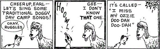 July 10 2025, Daily Comic Strip: In this MUTTS comic, a poodle says, "Cheer up, Earl — let's sing some traditional doggy day camp songs!" A sad Earl replies, "Okay, Ruggles." and lets out a deep howl. Ruggles says, "Gee, I don't know that one." Earl says, "It's called 'I miss my Ozzie doo-dah doo-dah.'"