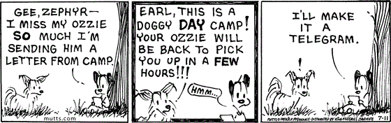 July 11 2025, Daily Comic Strip: In this MUTTS strip, Earl tells a dog, "Gee, Zephyr, I miss my Ozzie so much I'm sending him a letter from camp." Zephyr replies, "Earl, this is a doggy day camp! Your Ozzie will be back to pick you up in a few hours!" Earl thinks, "Hmm... I'll make it a telegram."