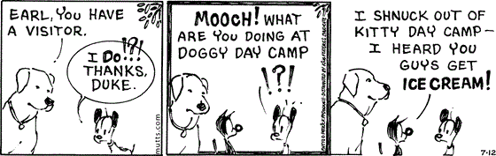July 12 2025, Daily Comic Strip: In this MUTTS comic, a large dog says, "Earl, you have a visitor." Earl replies, "I do!?! Thanks, Duke." Mooch walks up and Earl asks, "Mooch! What are you doing at doggy day camp!?!" Mooch replies, "I shnuck out of kitty day camp — I heard you guys get ice cream!