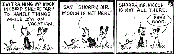 July 17 2025, Daily Comic Strip: In this MUTTS strip, Mooch tells Earl, "I'm training my mockingbird shecretary to handle things while I'm on vacation." He turns to the bird and instructs, "Say — 'Shorry, Mr. Mooch is not here." She repeats, "Shorry, Mr. Mooch is not all there." Earl tells a stunned Mooch, "She's good."