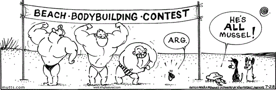 July 28 2025, Daily Comic Strip: In this MUTTS comic, Mussels Marinara competes in a beach body-building contest. Crabby tells Mooch and Earl, "He's all mussel!"