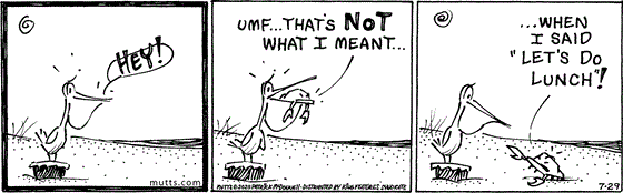 July 29 2025, Daily Comic Strip: In this MUTTS strip, Crabby shouts from inside a pelican's mouth, "Hey! Umf... that's not what I meant when I said 'let's do lunch!'"