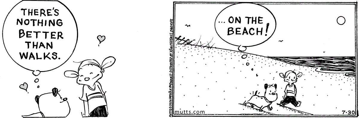 July 30 2026, Daily Comic Strip