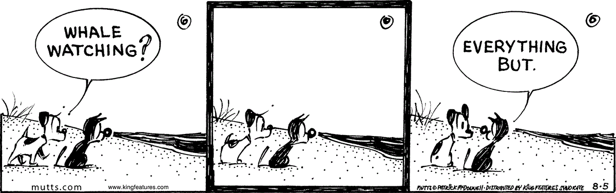 August 5 2026, Daily Comic Strip