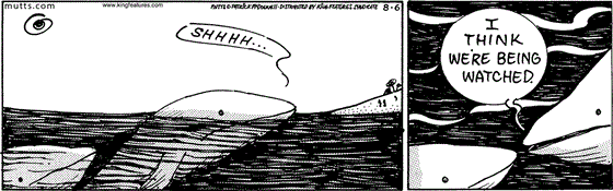 August 6 2025, Daily Comic Strip: In this MUTTS comic, a whale peeks above the water and sees a boat. He tells another whale, "Shhhh... I think we're being watched."