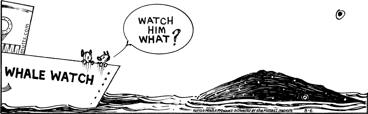 August 6 2026, Daily Comic Strip