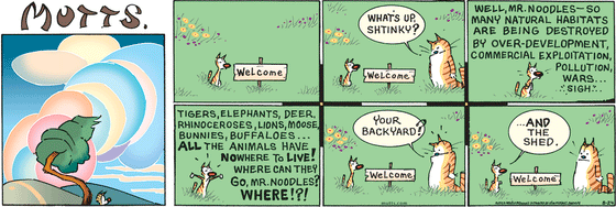 August 24 2025, Sunday Comic Strip: In this colorful MUTTS comic, Shtinky is sitting next to a welcome sign when Noodles asks, "What's up, Shtinky?" He replies, "Well, Mr. Noodles, so many natural habitats are being destroyed by over-development, commercial exploitation, pollution, wars." Tigers, elephants, deer, rhinoceroses, lions, moose, bunnies, buffaloes... all the animals have nowhere to live! Where can they go, Mr. Noodles? Where!?!" Noodles asks, "Your backyard?" Shtinky replies, "...And the shed."