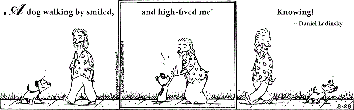 August 28 2026, Daily Comic Strip