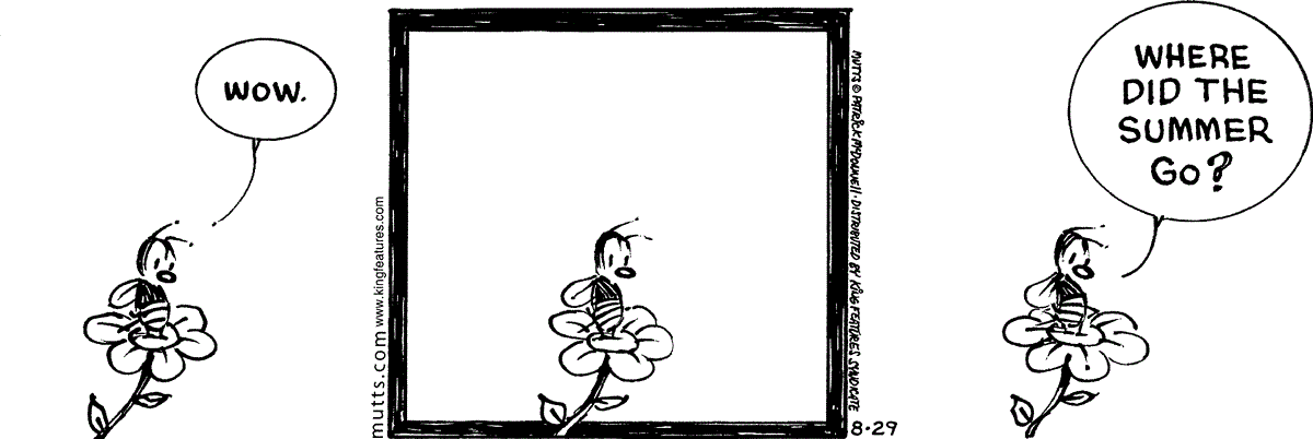 August 29 2026, Daily Comic Strip