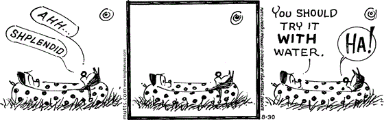 August 30 2025, Daily Comic Strip: In this MUTTS comic, Mooch joins Earl in his kiddie pool and says, "Ahhh... shplendid." Earl says, "You should try it with water." Mooch replies with "Ha!"