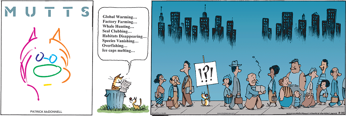 August 30 2026, Sunday Comic Strip