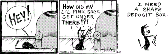 September 2 2024, Daily Comic Strip: In this MUTTS comic, Mooch is searching under the armchair and shouts, "Hey! How did my Li'l Pink Sock get under there?" He picks it up and decides, "I need a shafe deposit box."