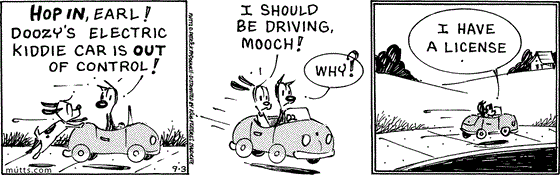 September 3 2025, Daily Comic Strip: In this MUTTS strip, Mooch calls out to Earl from the car, "Hop in, Earl! Doozy's electric kiddie car is out of control!" Earl jumps in then tells Mooch, "I should be driving, Mooch!" He asks, "Why?" Earl replies, "I have a license."