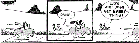 September 4 2025, Daily Comic Strip: In this MUTTS comic, Mooch and Earl speed past Chippy and Monk in their electric car. Chippy says, "Dang. Cats and dogs get everything!"