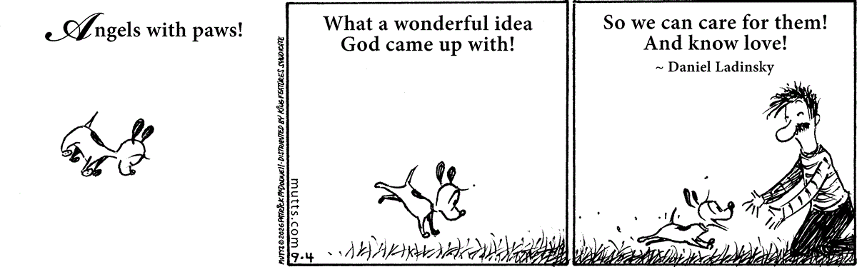 September 4 2026, Daily Comic Strip