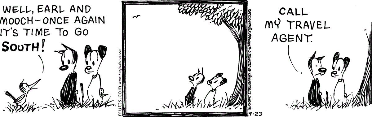 September 23 2025, Daily Comic Strip