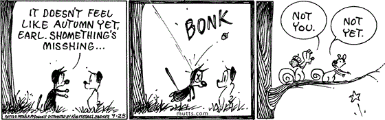 September 25 2024, Daily Comic Strip: In this MUTTS strip, Mooch tells Earl, "It doesn't feel like autumn yet, Earl. Shomething's misshing. Suddenly Mooch is bonked on the head by an acorn.