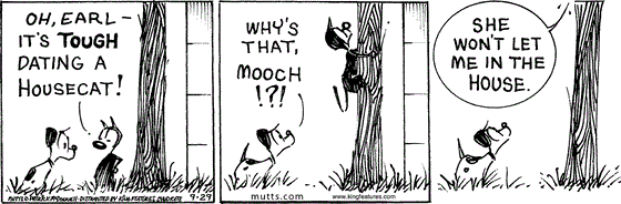 September 29 2025, Daily Comic Strip: In this MUTTS strip, Mooch tells Earl, "Oh, Earl, it's tough dating a housecat!" As Mooch climbs a tree, Earl asks, "Why's that, Mooch!?!" He replies, "She won't let me in the house"