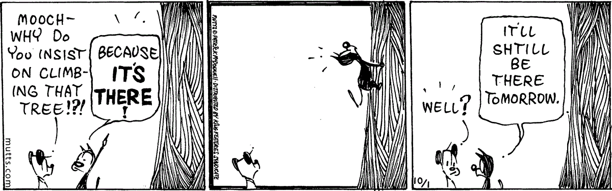 October 1 2024, Daily Comic Strip – MUTTS