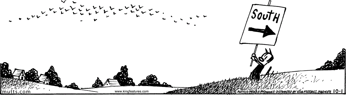 October 1 2026, Daily Comic Strip