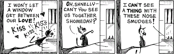 October 2 2025, Daily Comic Strip: In this MUTTS comic, Mooch stands on a tree branch, trying to woo Shnelly through her window, "I won't let a window get between our love." He kisses her window then continues, "Oh, Shnelly, can't you see us together shomeday?" Shnelly replies, "I can't see a thing with these nose smudges!"