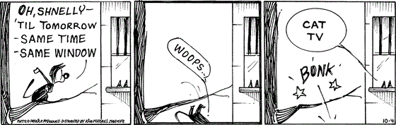 October 4 2025, Daily Comic Strip: In this MUTTS comic, Mooch stands on a tree branch, trying to woo Shnelly through her window, "Oh, Shnelly, 'til tomorrow - same time, same window." He falls with a "Woops" then a "bonk!" Shnelly says, "Cat TV."
