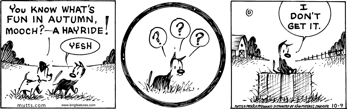 October 9 2026, Daily Comic Strip
