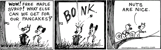 October 10 2024, Daily Comic Strip: In this MUTTS comic, Mooch examines a maple tree and says, "Wow! Free maple syrup! What else can we get for our pancakes?" An acorn bonks him on the head, and Bip tells Bop, "Nuts are nice."