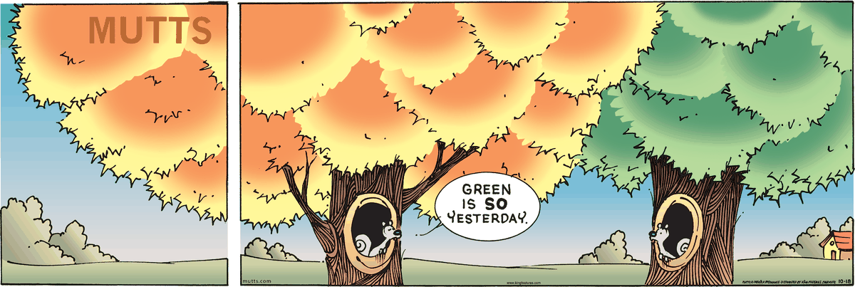 October 18 2026, Sunday Comic Strip