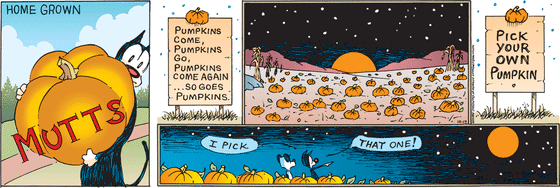 October 19 2025, Sunday Comic Strip: In this colorful MUTTS strip, Mooch and Earl explore a vast pumpkin patch while the moon looms large in the night sky. Mooch points to the orange harvest moon and says, "I pick that one!"