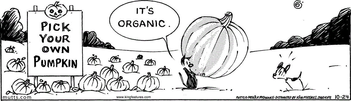 October 24 2025, Daily Comic Strip