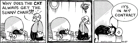 October 27 2025, Daily Comic Strip: In this MUTTS strip, Frank spies Mooch sleeping in his chair in the sun. Frank asks, "Why does the cat always get the sunny chair!?!" He walks off in a huff, and Mooch says, "It's in my contract."
