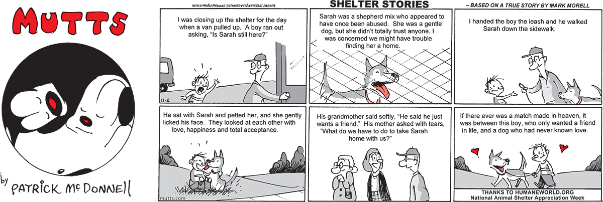 November 2 2025, Sunday Comic Strip