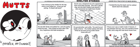 November 2 2025, Sunday Comic Strip: In this Shelter Stories strip, based on a true story by Mark Morell, a shelter worker recalls, "I was closing up the shelter for the day when a van pulled up. A boy ran out asking, 'Is Sarah still here?' 

Sarah was a shepherd mix who appeared to have once been abused. She was gentle dog, but she didn't totally trust anyone. I was concerned we might have trouble finding her a home. I handed the boy the leash and he walked Sarah down the sidewalk. He sat with Sarah...